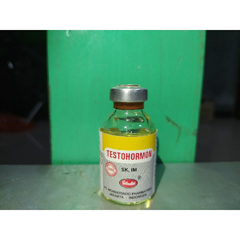 Testohormon 20 ml wonder
