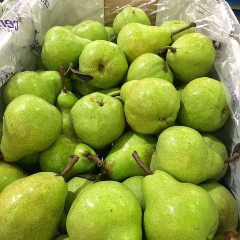 

Buah Pear Fakam1kg/Pear fakam fress