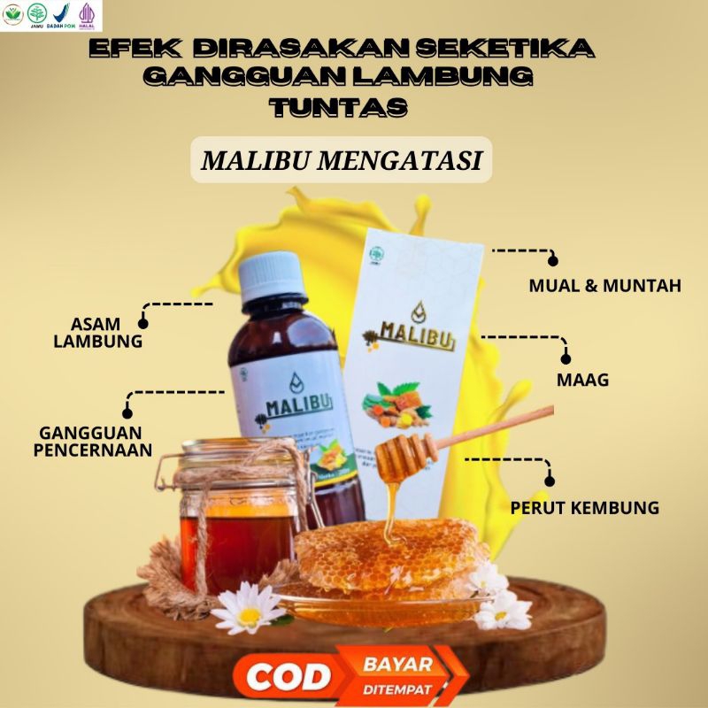 

COD MADU LAMBUNG MADU HERBAL MALIBU