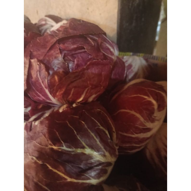 

Radhicio fresh 500gram