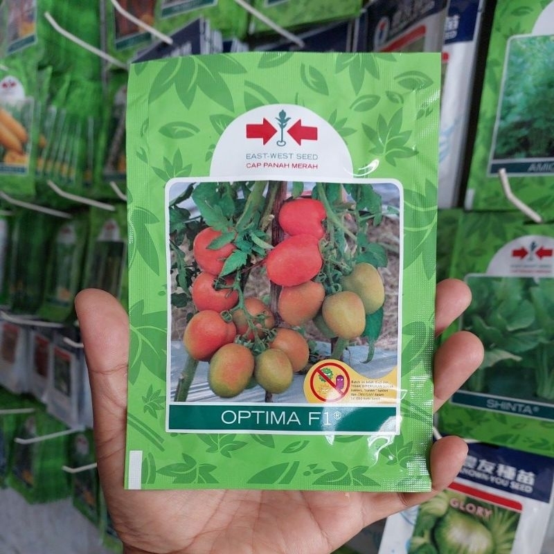 Benih Tomat besar OPTIMA F1 isi 5gr