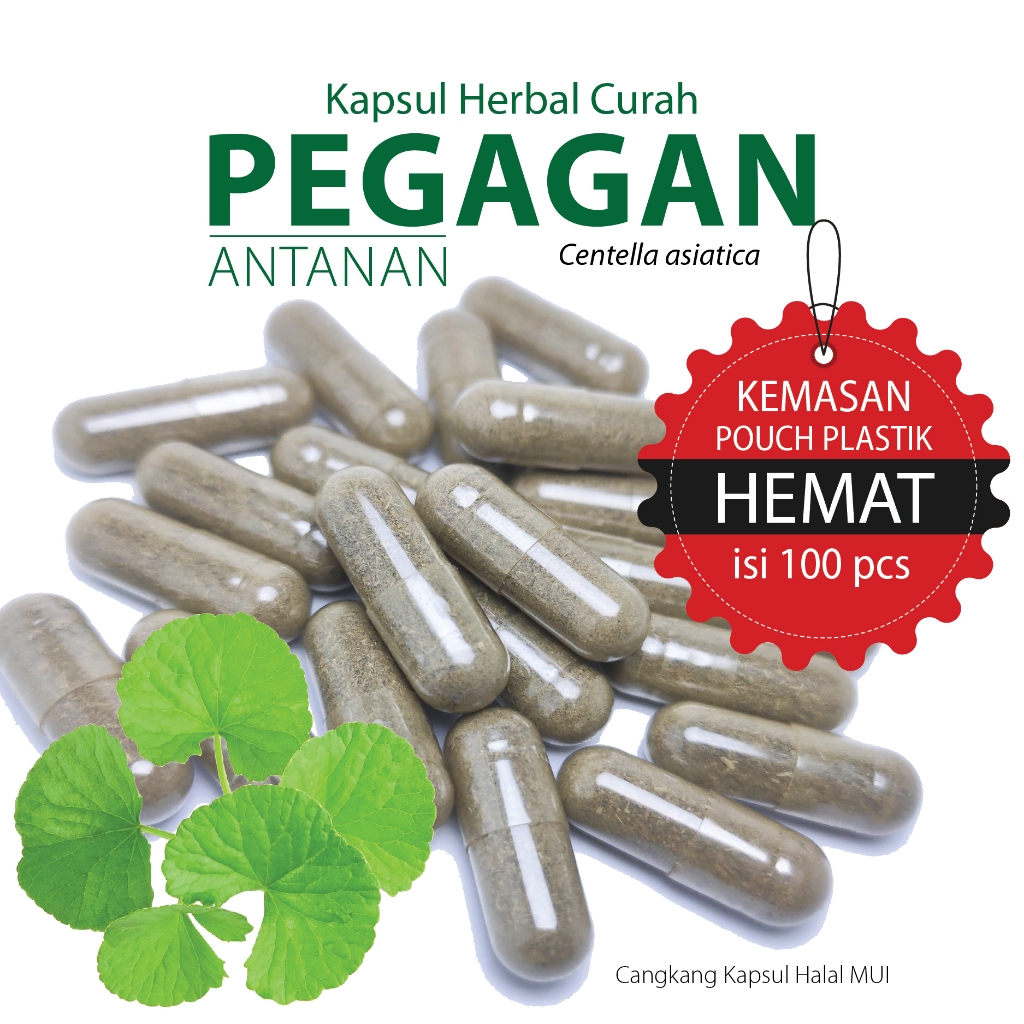 PEGAGAN / ANTANAN Kapsul Herbal Kemasan Hemat - isi 100