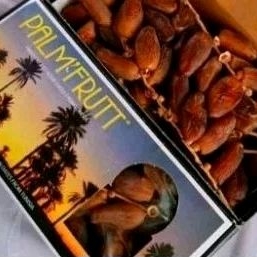

kurma palm frutt fruitt 500gr tunisia tangkai fresh