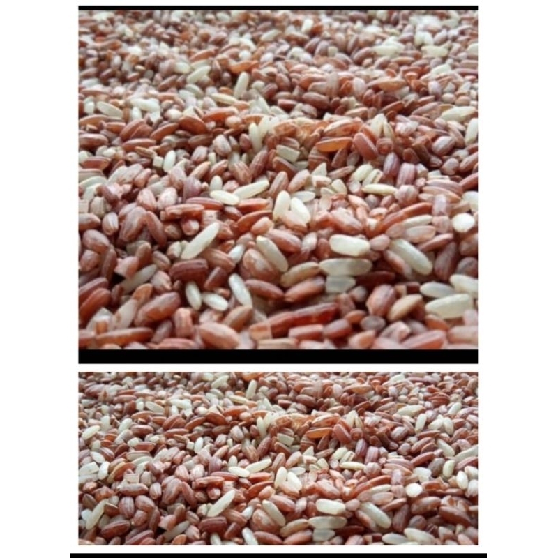

BERAS MERAH ORGANIK 1 KG