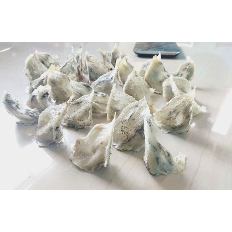 

Sarang Walet Mangkuk Alami 100%