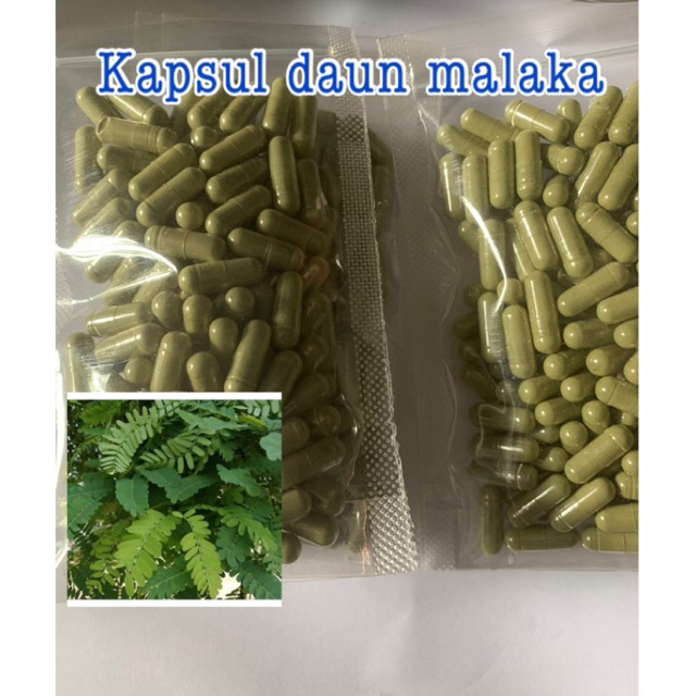 

kapsul daun malaka 100pcs