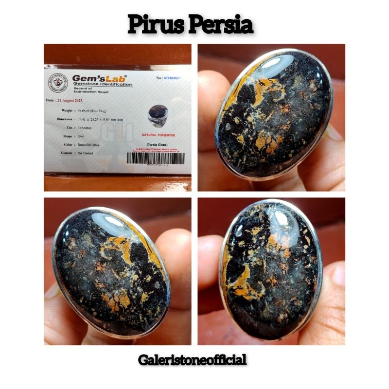 PIRUS HITAM PERSIA JUMBO