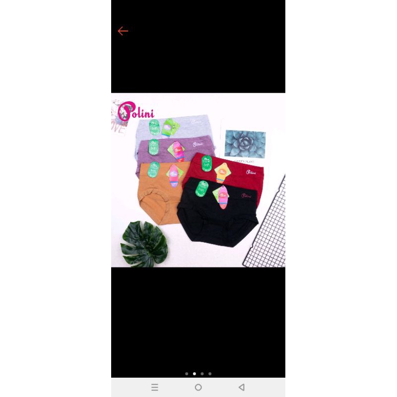 celana dalam polini