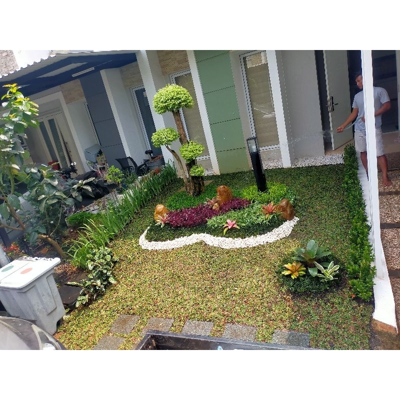 Taman depan rumah minimalis