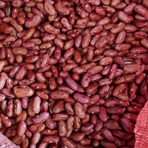 

KACANG MERAH JOGO / KACANG MERAH SUPER IMPORT 1Kg