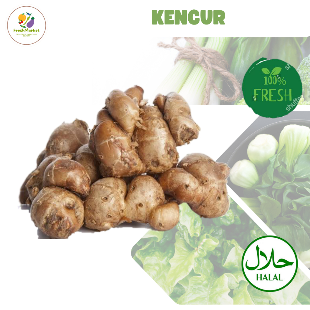 

Kencur Bumbu Dapur Rempah Segar Per 250 Gram Freshmarketlampung
