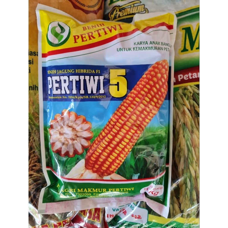 Bibit Jagung Pertiwi 5 1kg