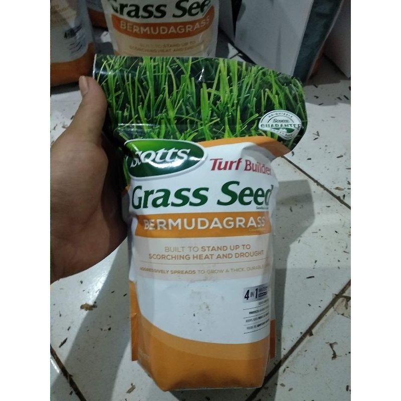 Benih Rumput Bermuda Grass Scotts 1kg - Bibit Rumput Bermuda Grass Seed