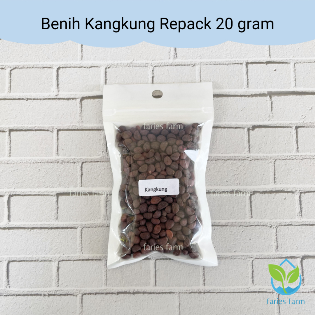 Benih Biji Kangkung 20 gram Benih Unggul
