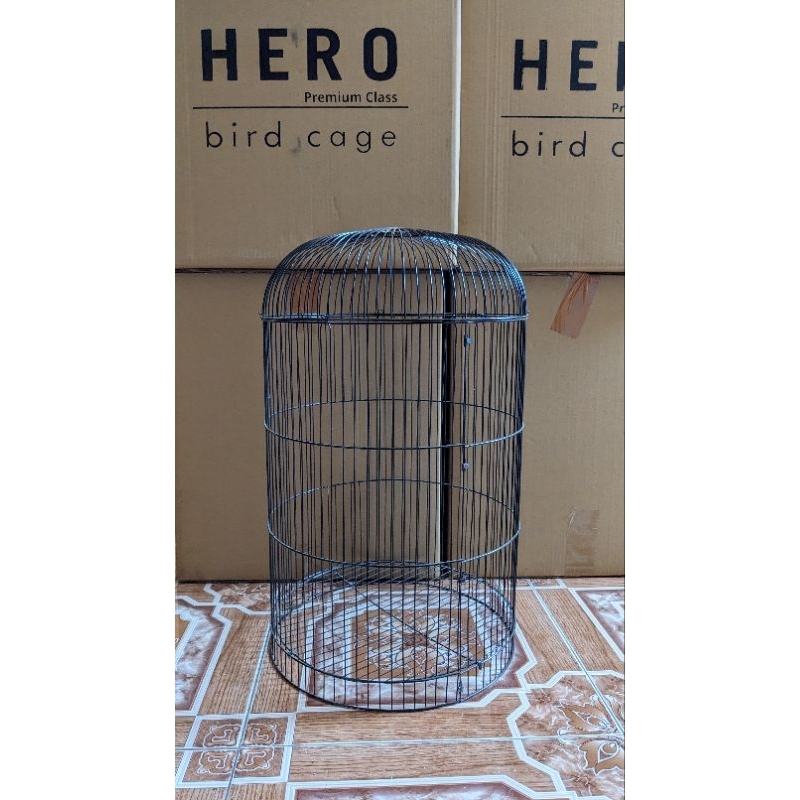 Ram besi Lovebird D33