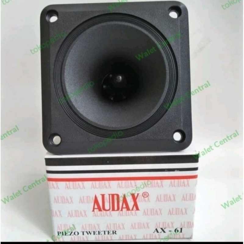 Tweeter Audax Ax 61