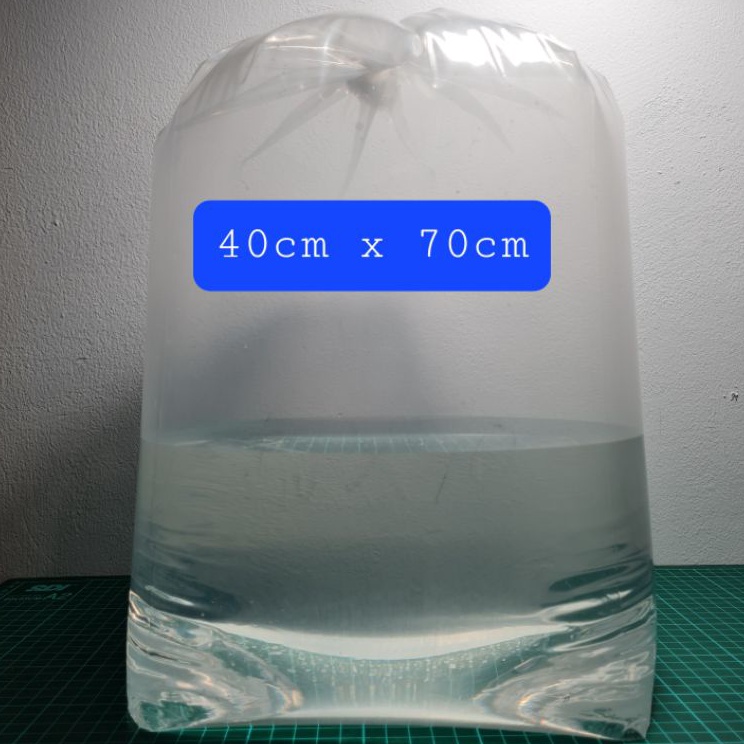 Harga Murah PLASTIK PACKING IKAN TEBAL PLASTIK IKAN PREMIUM BAHAN PE 4X7 cm