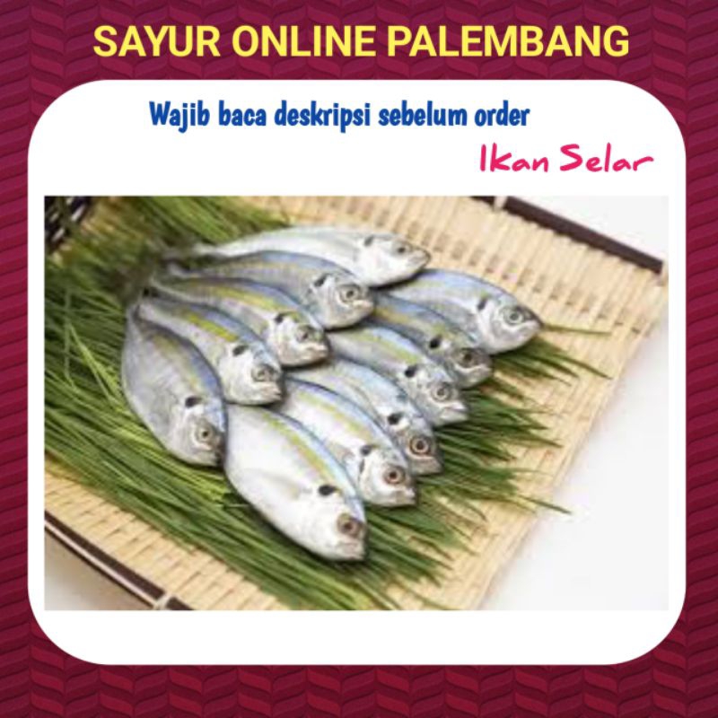 

Ikan Selar Kuning - Sayur Sayuran Segar Palembang