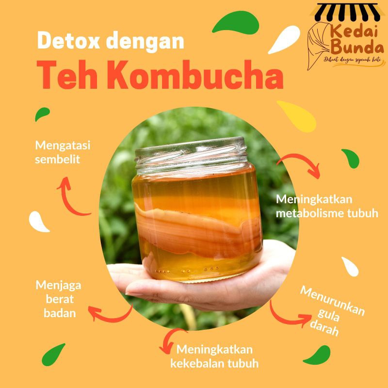 

Kombucha picabucha