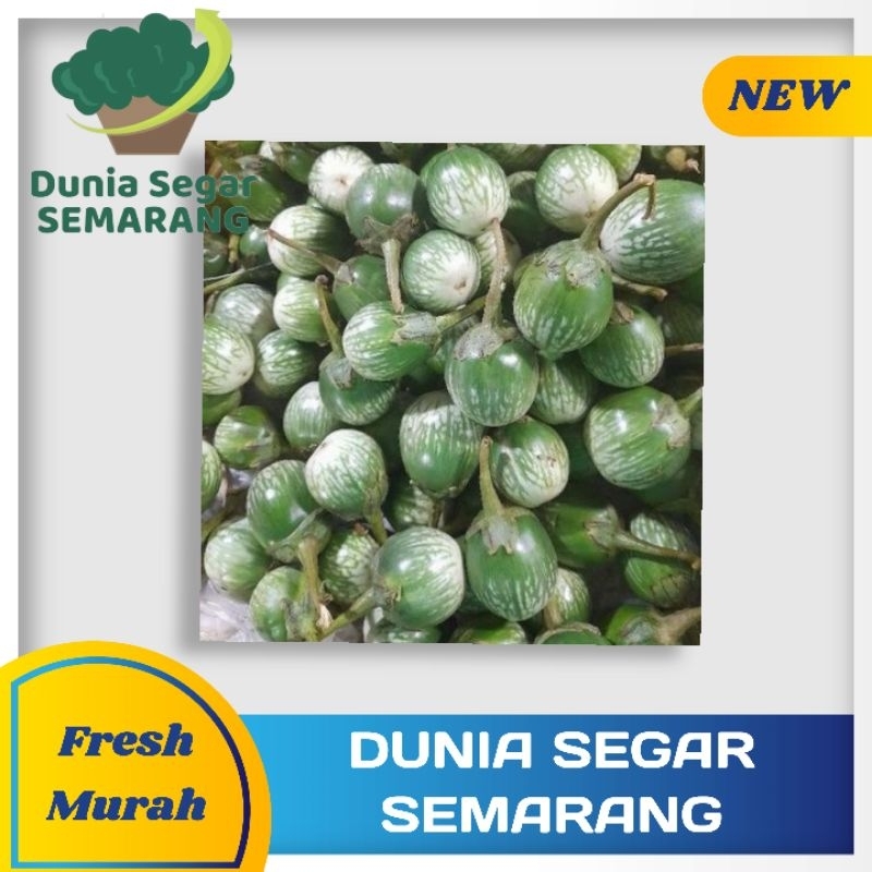

Terong Bulat Terong Lalap 250gr
