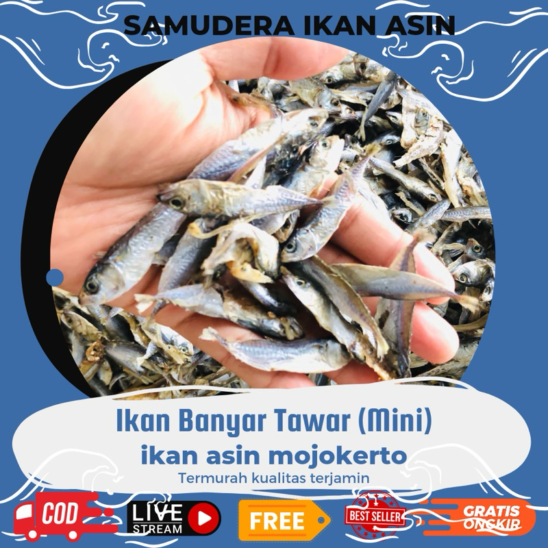 

Ikan krompos Tawar Banyar Kecil 250gr Kering Murah & Kualitas Terbaik