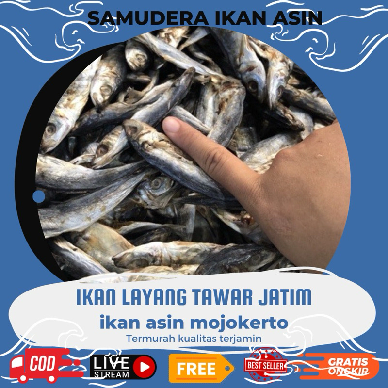 

Klotok Tawar sedang 250gr sedikit asin Harga Murah & Berkualitas Tinggi