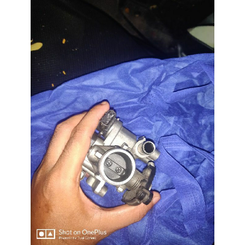 TB Xeon RC Original Copotan