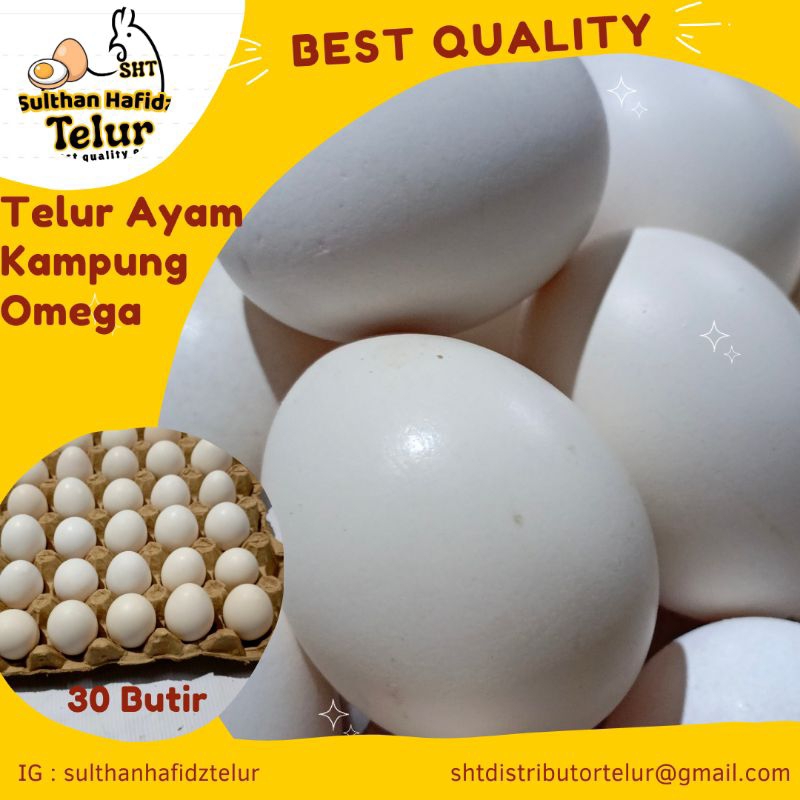 

TELUR AYAM KAMPUNG 30ButirTelur Ayam NegeriTelur Ayam Negeri Omega Telur Ayam Negeri Krem Telur Puyuh Telur Ayam Kampung Omega Telur Bebek Oren Telur Asin Mentah Telur Asin Mateng