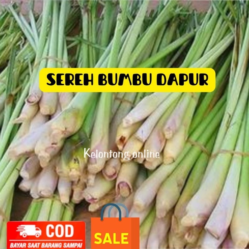 

(150gram) SEREH BUMBU DAPUR// selalu fresh