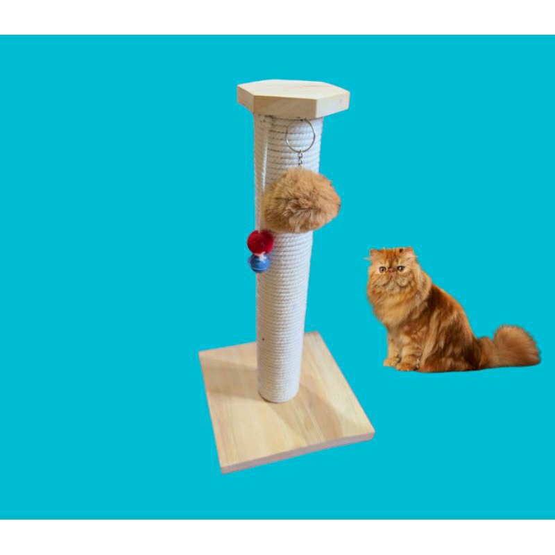 CAKARAN kucing Garukan kucing elegant desain BARU NATURAL KAYU Cantik