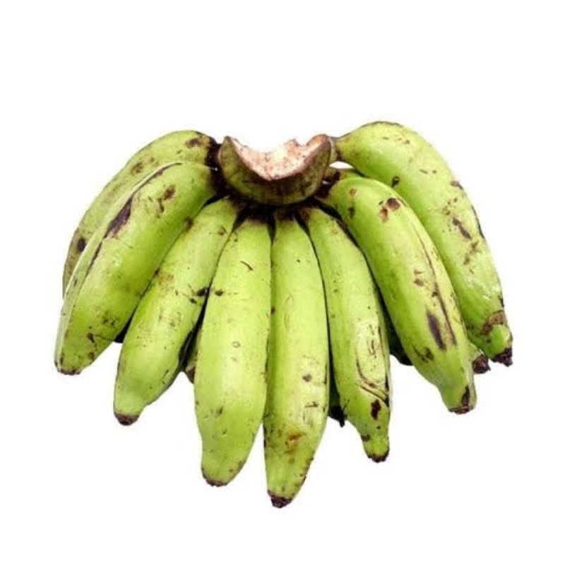 

PISANG NANGKA SUDAH TUA