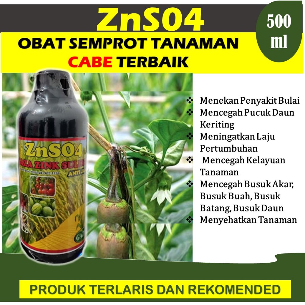 TERLARIS Obat Busuk Batang Cabe Terbaik ZNSO4 GAZA 500ML Obat Semprot Mencegah Busuk Akar, Busuk Bua