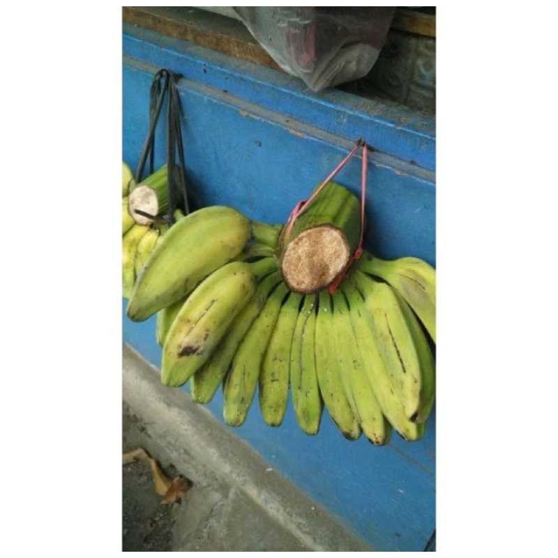 Pisang Kepok 1 Sisir Pisang Lampung