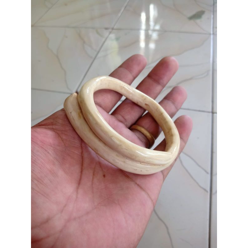 gelang akar Bahar putih