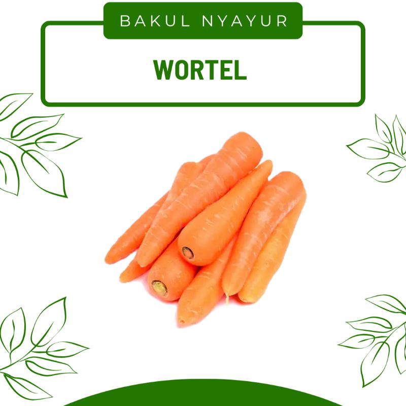 

Wortel Brastagi Fresh