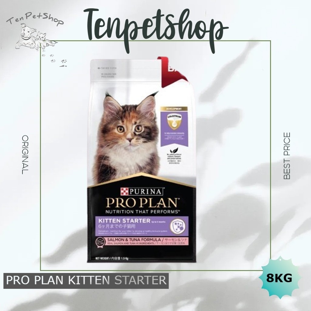 PROPLAN KITTEN STARTER 8KG