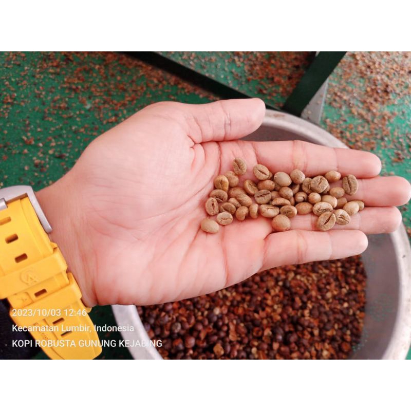 

KOPI MENTAH / GREEN BEAN PEGUNUNGAN LUMBIR BANYUMAS GREAD1_1 KG