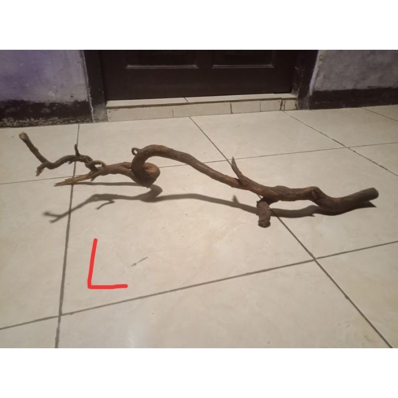 kayu santigi aquascape