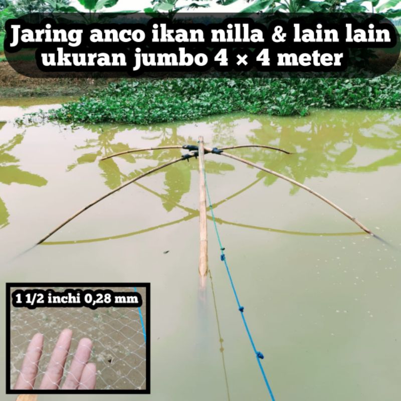 Jaring anco 4×4 meter jaring perangkap ikan tangkul ikan nilla