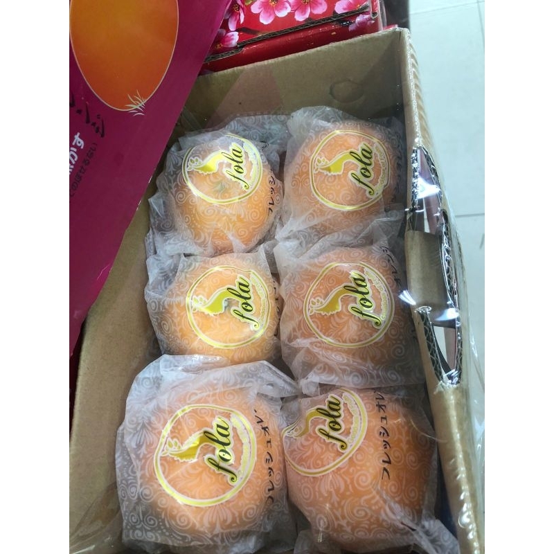 

Jeruk Wokam Fola Manis Premium 2,5 Kg / Box