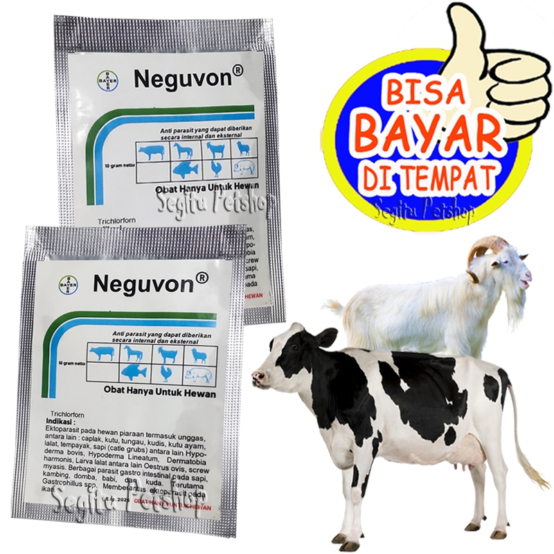 Obat Kutu Sapi Kambing Pembasmi Parasit Tungau Caplak Lalat Neguvon