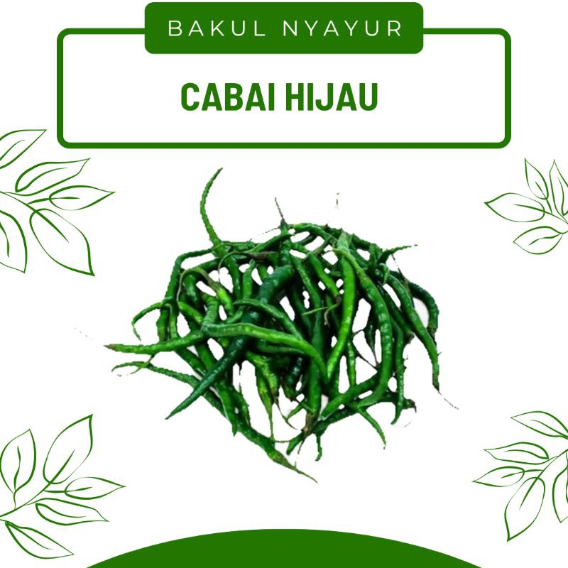 

Cabe / Cabai Keriting Hijau