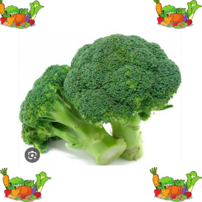 

brokoli lokal bandung 500 gram