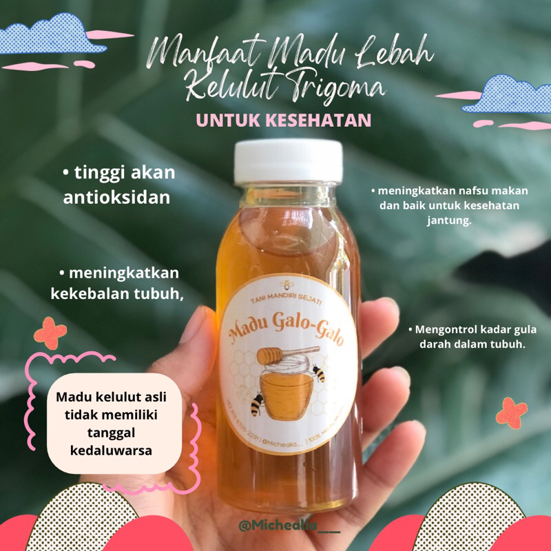 

Madu Lebah Kelulut Trigona Murni Asli Hutan Sumatra,50ml