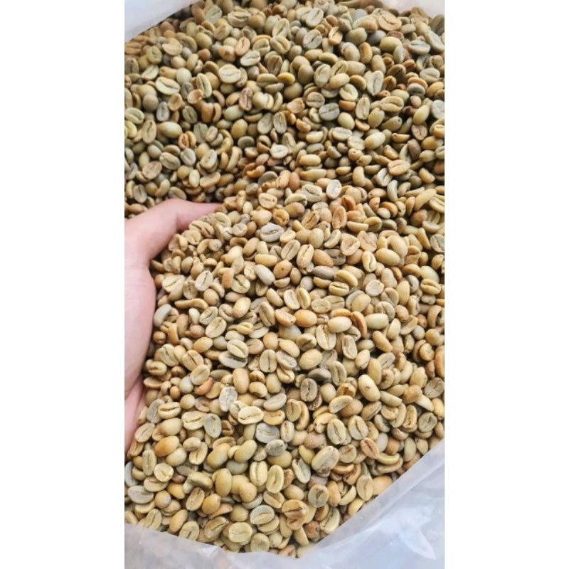 

BIJI KOPI GREEN BEANS GRADE-1 PEMIUM MURNI HASIL ALAM DARI PEGUNUNGAN BONDOWOSO