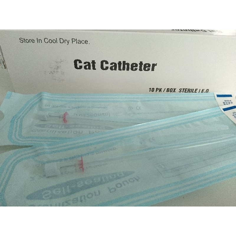 kateter kucing cat catheter