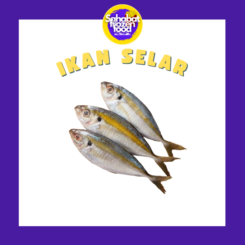 

Ikan Selar Segar