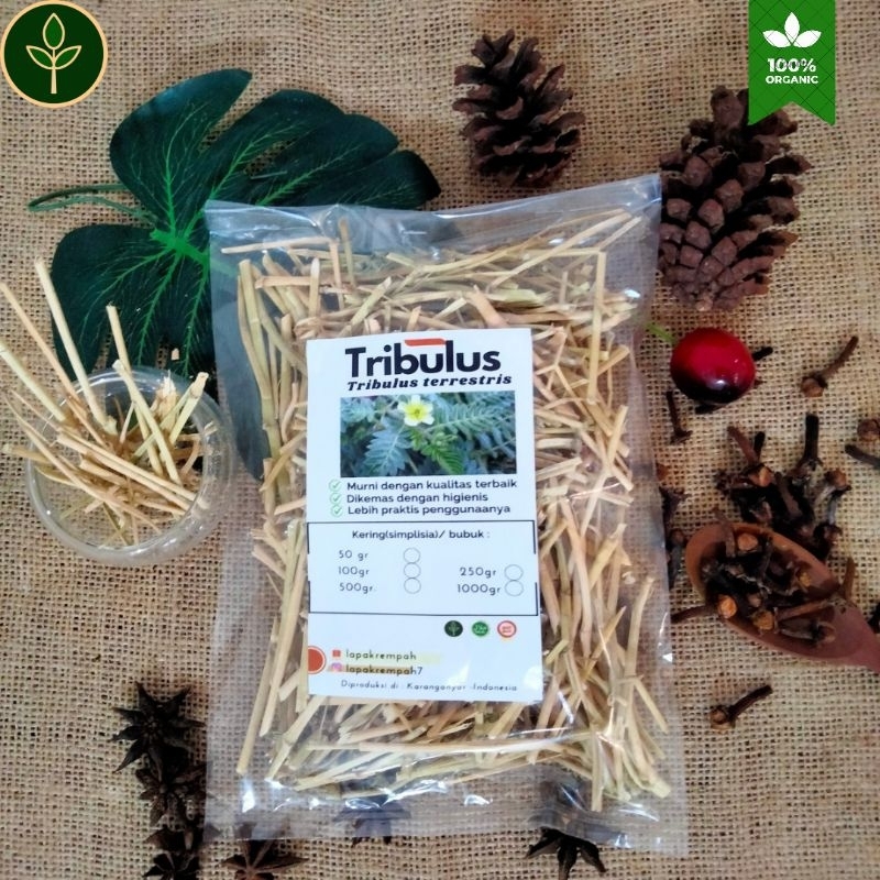 TRIBULUS/Tribulus Terrestris