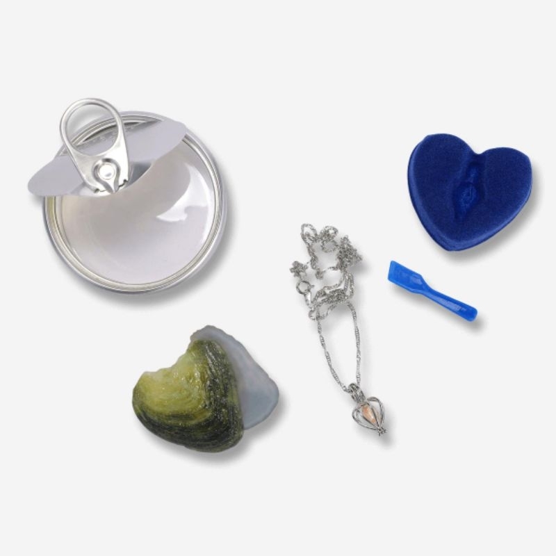 [RESTOCK] FLYING TIGER FTC WISH PEARL NECKLACE KALUNG MUTIARA DARI KERANG