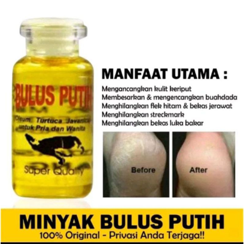 MINYAK BULUS PUTIH ORIGINAL/ MINYAK BULUS PUTIH EYANG LAUT/ MINYAK BULUS ASLI/MINYAK PEMBESAR